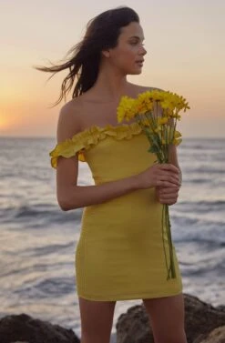 Renata Off Shoulder Dress -Sundress Haven 200119 ASTR Label 3787