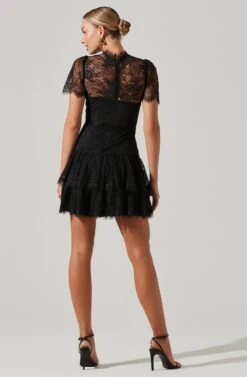 Leilani Lace Bustier Mini Dress -Sundress Haven ACDR100765 BLACK 6