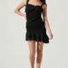 Eastwick Smocked Ruffle Mini Dress