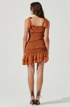 Eastwick Smocked Ruffle Mini Dress -Sundress Haven ACDR101076B BROWN 3