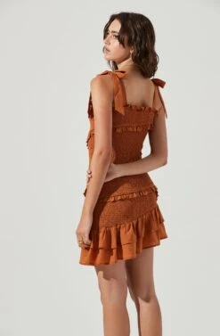 Eastwick Smocked Ruffle Mini Dress -Sundress Haven ACDR101076B BROWN 4