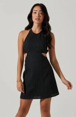 Laylin Halter Cutout Mini Dress -Sundress Haven ACDR101590S BLACK 3