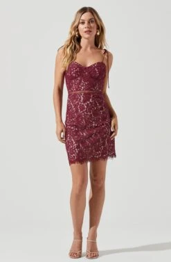 Corset Lace Mini Dress -Sundress Haven ADR101009 WINE NUDE 1