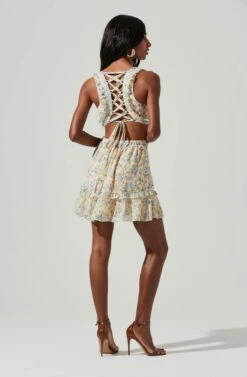 Lace Up Back Floral Cutout Eyelet Mini Dress -Sundress Haven ALD44789 YELLOWBLUEFLORAL 4